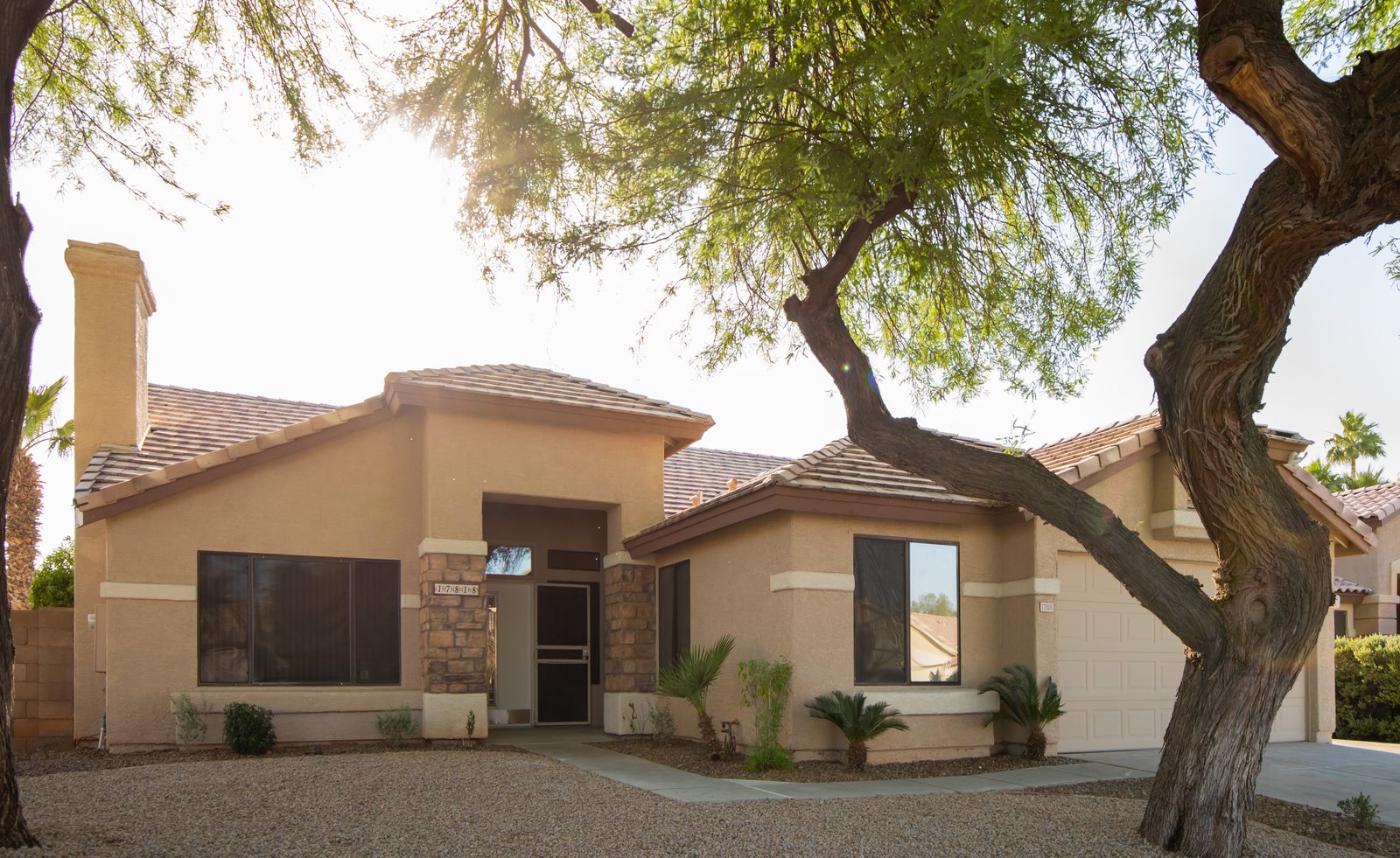 The front of Golden Crown: a single-story Arizona home shaded by a mature tree